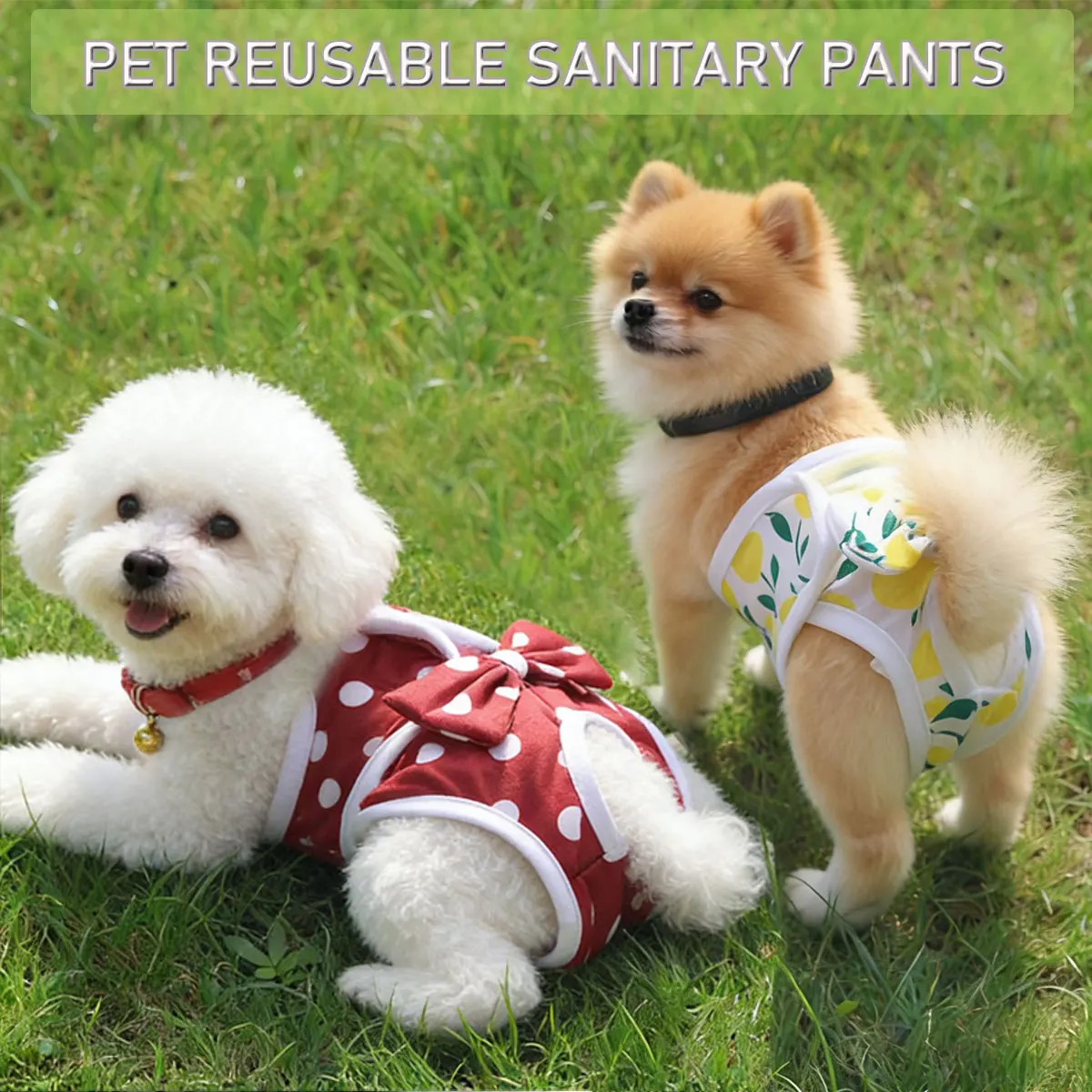 1Pc Pet Washable Diaper Reused Female Pet Pantyhose Pant Prevent Harassment Suit Small And Medium-sized Cats & Dogs.
1Pc Pet Washable Diaper Reused Female Pet Pantyhose Pant Prevent Harassment Suit Small And Medium-sized Cats & Dogs.