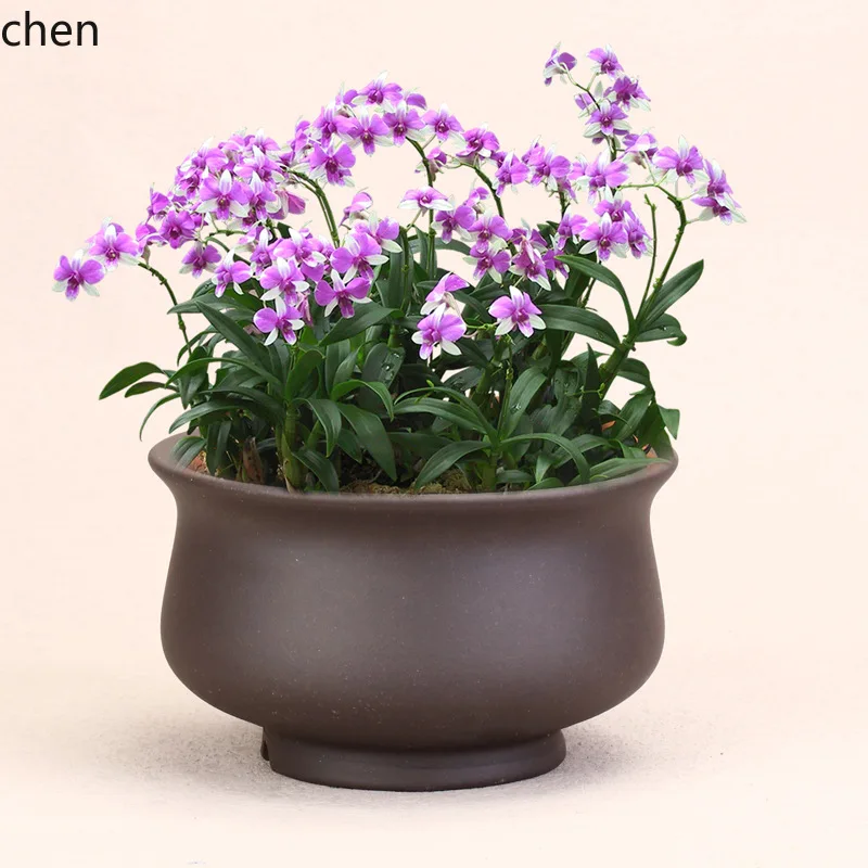 HYS purple clay coarse ceramic flower pot indoor succulent garden potted plant
HYS purple clay coarse ceramic flower pot indoor succulent garden potted plant