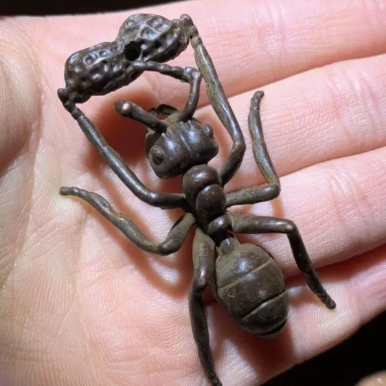 Tibetan old copper ant incense ornaments, tea tables, tea pets, hand handles, play, length 5.5, width 3.3cm, weight 20g
Tibetan old copper ant incense ornaments, tea tables, tea pets, hand handles, play, length 5.5, width 3.3cm, weight 20g