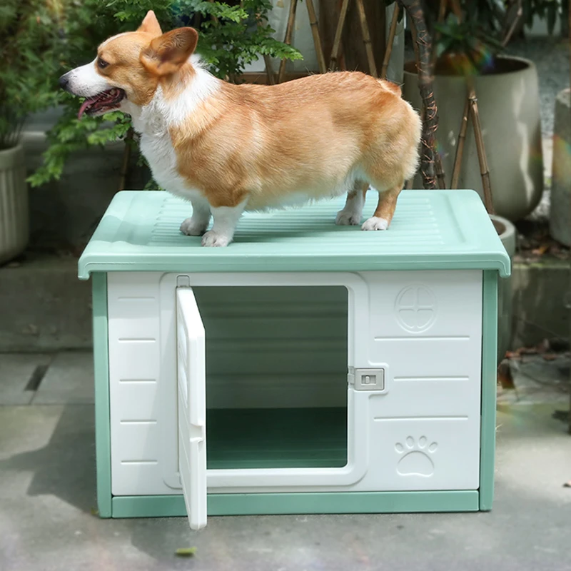 Large Kennel Tent Dog House Prefab Accessories Indoor Outdoor Dog House Enclose Cage Lapin Casa De Perro Dog Furniture Fg23
Large Kennel Tent Dog House Prefab Accessories Indoor Outdoor Dog House Enclose Cage Lapin Casa De Perro Dog Furniture Fg23