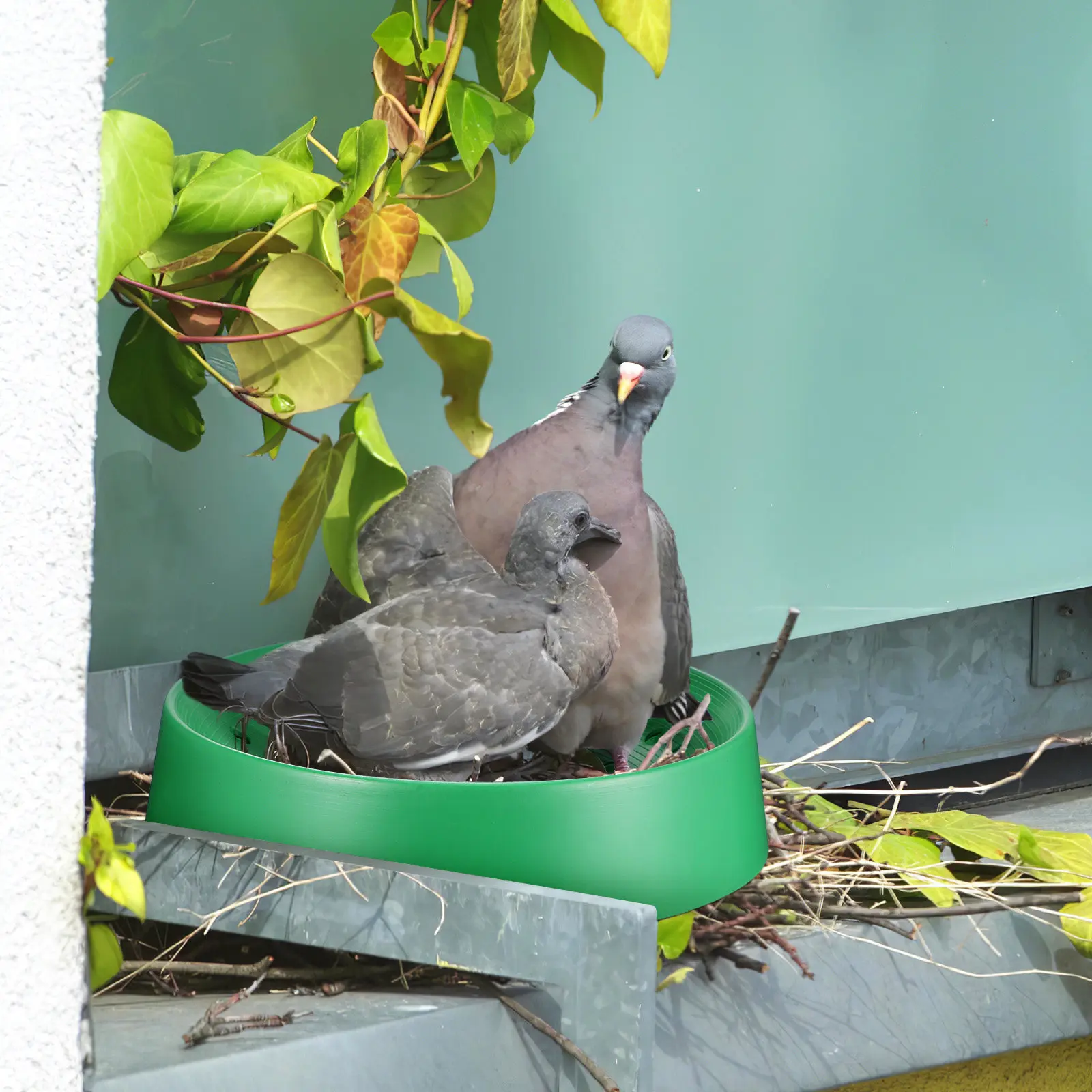 10 шт. Гнездовые чаши для голубей, принадлежности для разведения птиц, гнездовые ящики для голубятен
10 шт. Гнездовые чаши для голубей, принадлежности для разведения птиц, гнездовые ящики для голубятен