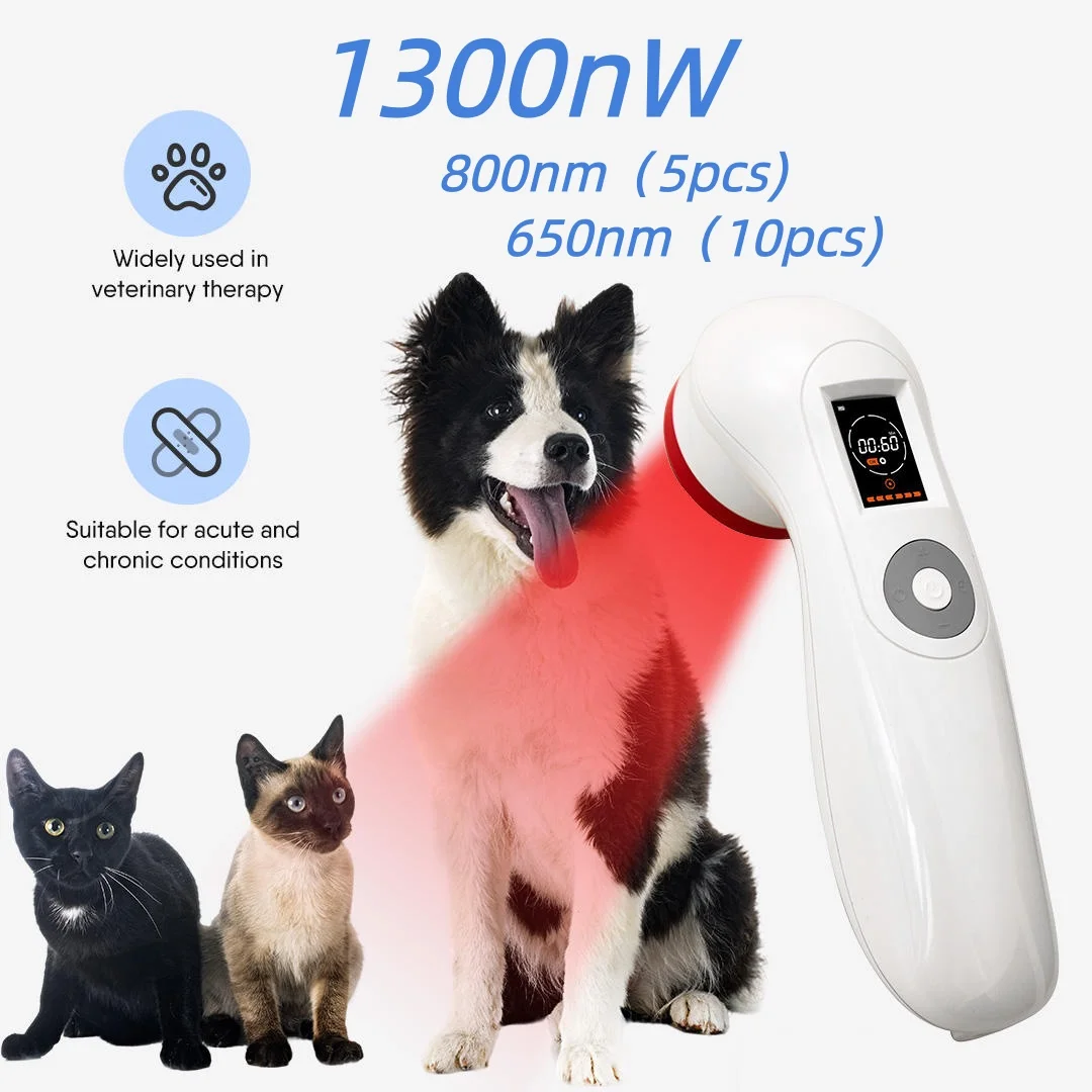 Portable 1300mW 650nmx10 808nmx5 Laser Infrared Red Light Therapy Cold Laser LLLT Device for Pain Relief Wound Healing
Portable 1300mW 650nmx10 808nmx5 Laser Infrared Red Light Therapy Cold Laser LLLT Device for Pain Relief Wound Healing