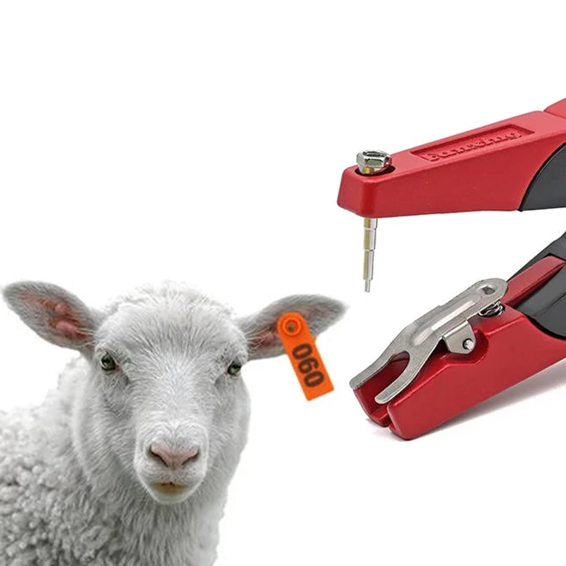Animal Ear Tags with Number Pigs Cattle Sheep Ear Laser-Printed Signs Copper Head Earrings Farm Livestock Identification Tools
Animal Ear Tags with Number Pigs Cattle Sheep Ear Laser-Printed Signs Copper Head Earrings Farm Livestock Identification Tools