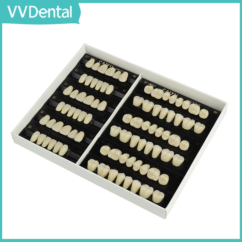 VVDental Dental Teeth Anterior Posterior Polymer Denture Synthetic Resin Teeth Dentistry Materials Education Model
VVDental Dental Teeth Anterior Posterior Polymer Denture Synthetic Resin Teeth Dentistry Materials Education Model
