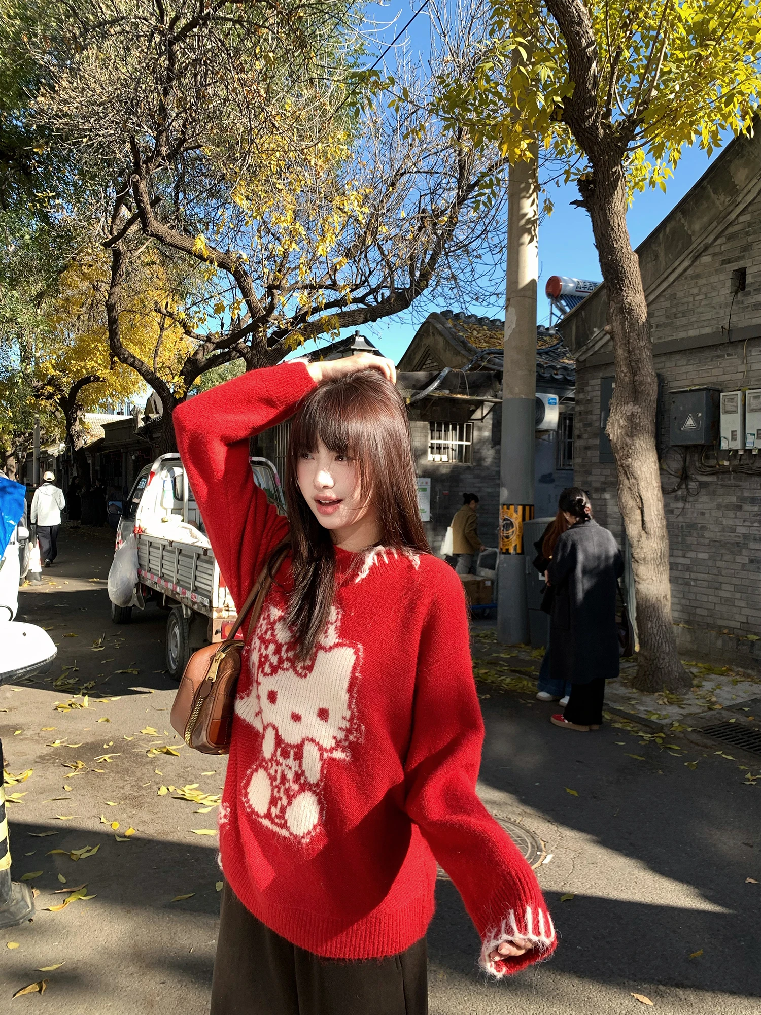 Вязаный крючком свитер ручной работы с цветочной вышивкой, двусторонняя техника, женский, теплый, зимний, с длинными рукавами, круглый вырез горловины
Вязаный крючком свитер ручной работы с цветочной вышивкой, двусторонняя техника, женский, теплый, зимний, с длинными рукавами, круглый вырез горловины