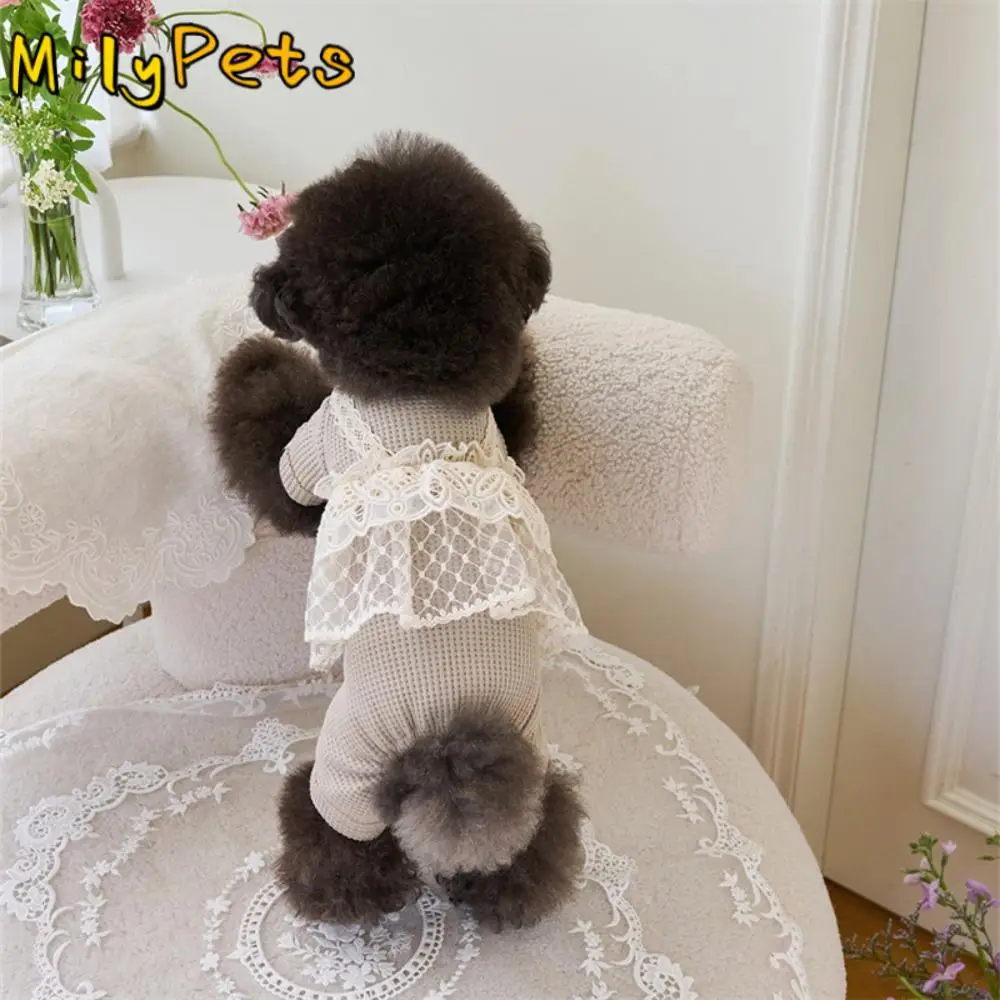 Pet Supplies Lace Camisole Pet Spring Summer Jumpsuit Waffle Lace Soft Dog Pajamas Breathable Pet Four Legged Coat Kittens
Pet Supplies Lace Camisole Pet Spring Summer Jumpsuit Waffle Lace Soft Dog Pajamas Breathable Pet Four Legged Coat Kittens