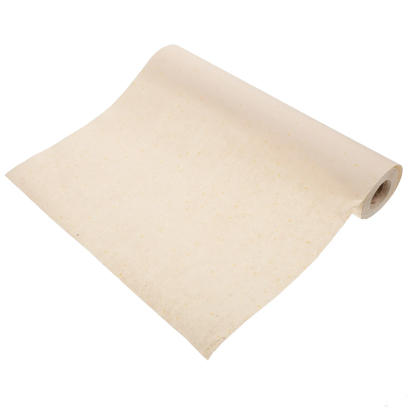 1 Roll Genuine Xuan Paper Chinese Calligraphy Paper Roll for Writing Painting Sumi Ink Practice Art Class Kids Drawing Craft
1 Roll Genuine Xuan Paper Chinese Calligraphy Paper Roll for Writing Painting Sumi Ink Practice Art Class Kids Drawing Craft