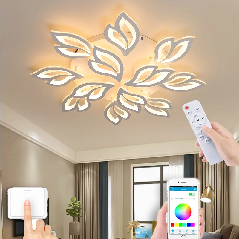 Modern LED Chandelier APP Remote Control Function Living Room Bedroom LED Ceiling Lamp Acrylic Suction Chandelier Factory Sales
Modern LED Chandelier APP Remote Control Function Living Room Bedroom LED Ceiling Lamp Acrylic Suction Chandelier Factory Sales