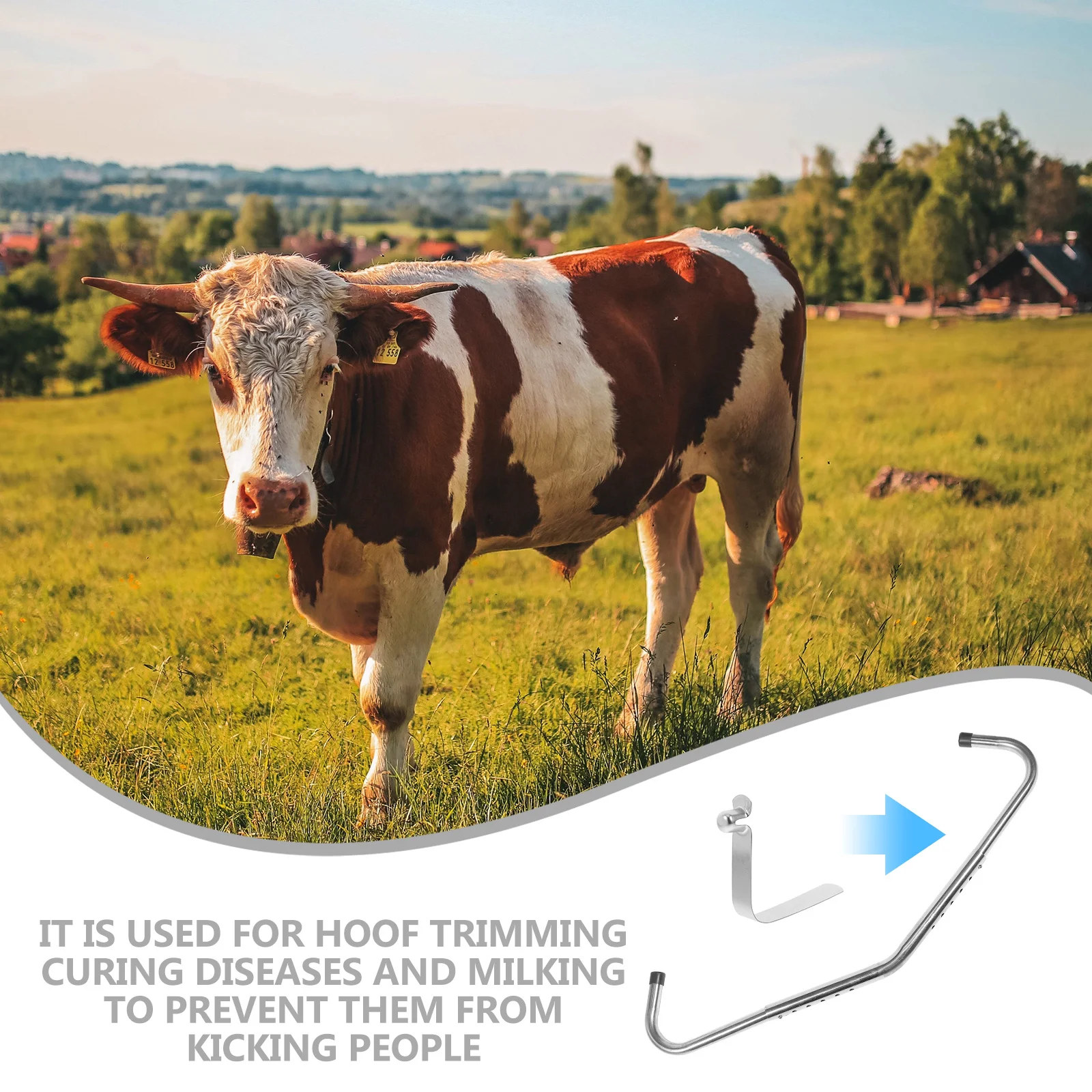 10Pcs Cow Anti-Kick Rod Push Button Spring Clips Sturdy Reusable Snap Tool Cattle Kick Prevention Device Farm Management
10Pcs Cow Anti-Kick Rod Push Button Spring Clips Sturdy Reusable Snap Tool Cattle Kick Prevention Device Farm Management