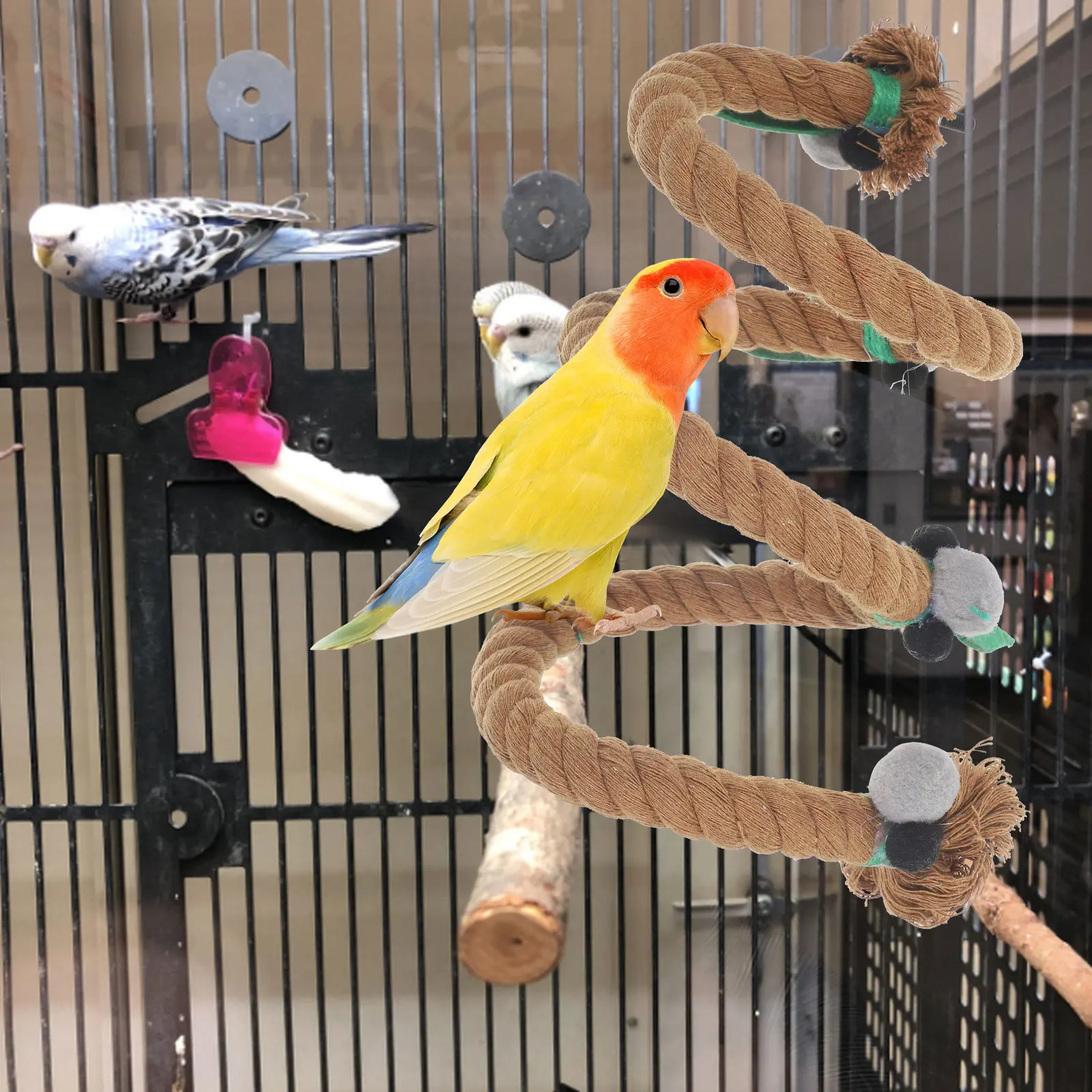 Bird Cage Accessories Parrot Rope Climbing Perch Bright Colored Swing Chewing Rope Stand for Medium Large Bird Cages
Bird Cage Accessories Parrot Rope Climbing Perch Bright Colored Swing Chewing Rope Stand for Medium Large Bird Cages