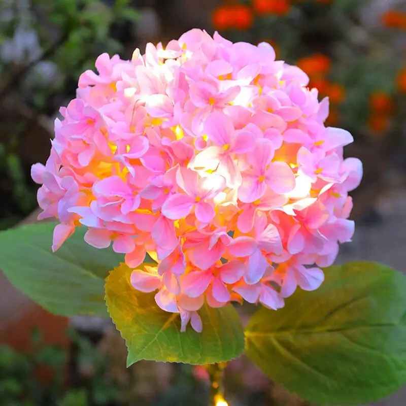 Solar Hydrangea Flower Stake Lights IP65 Waterproof Light Sensor Auto On/Off LED Simulation Flower Lamp Outdoor Patio Yard Lawn
Solar Hydrangea Flower Stake Lights IP65 Waterproof Light Sensor Auto On/Off LED Simulation Flower Lamp Outdoor Patio Yard Lawn
