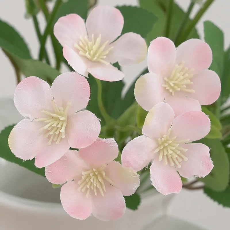 Green Aloes Artificial Rose Hydrangea Bouquet Silk Fake Flowers Bedroom Decoration Simulation Elsa Small Roses White Flower
Green Aloes Artificial Rose Hydrangea Bouquet Silk Fake Flowers Bedroom Decoration Simulation Elsa Small Roses White Flower