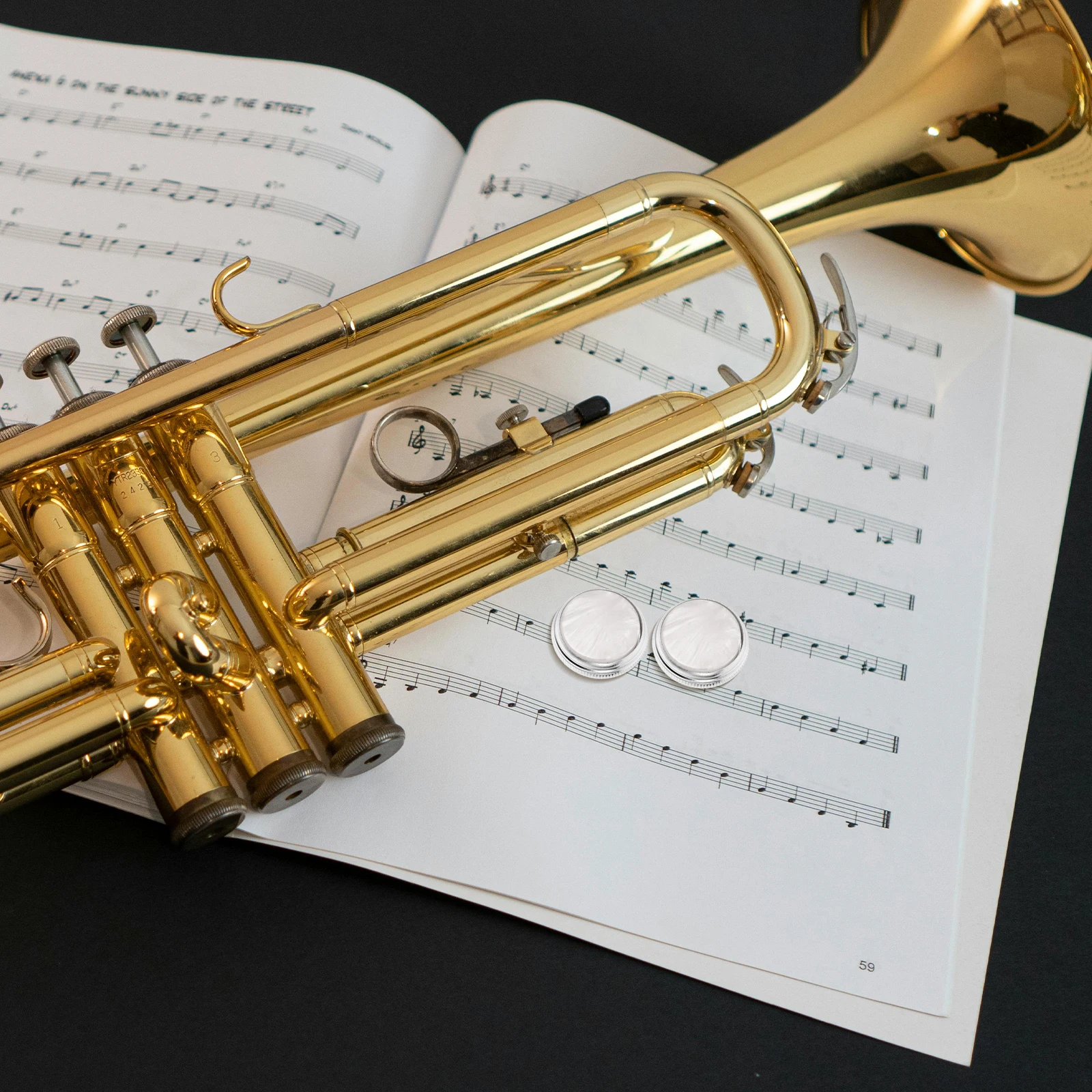 Musical Instrument Piston Button Instruments Shell Inlays Trumpet Buttons Accessory
Musical Instrument Piston Button Instruments Shell Inlays Trumpet Buttons Accessory