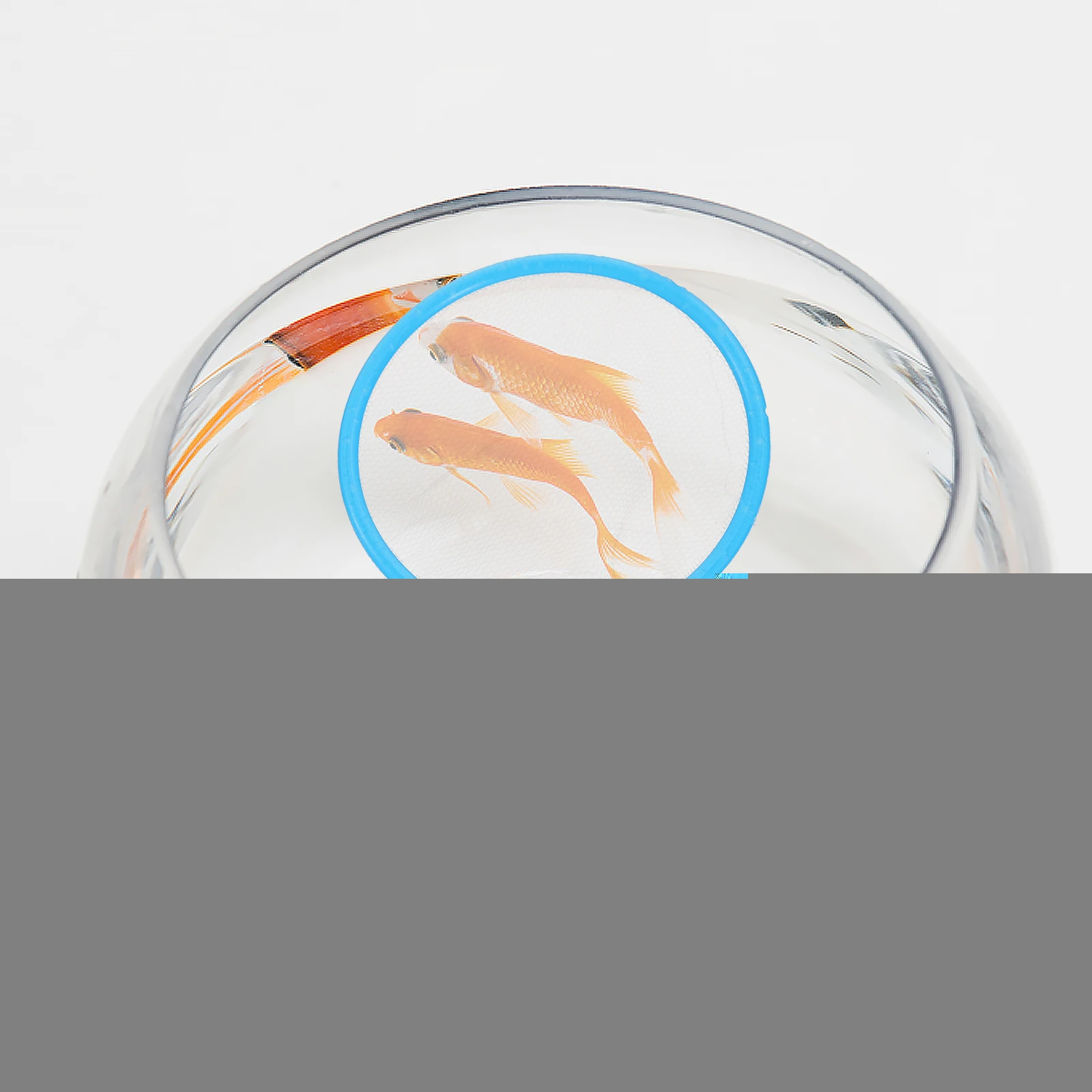 20 Pcs Children Net Kids Small Aquarium Nets for Tank Plastic Shrimp Net Fish Tank River Fishing Lake Fishing Solid Frames
20 Pcs Children Net Kids Small Aquarium Nets for Tank Plastic Shrimp Net Fish Tank River Fishing Lake Fishing Solid Frames