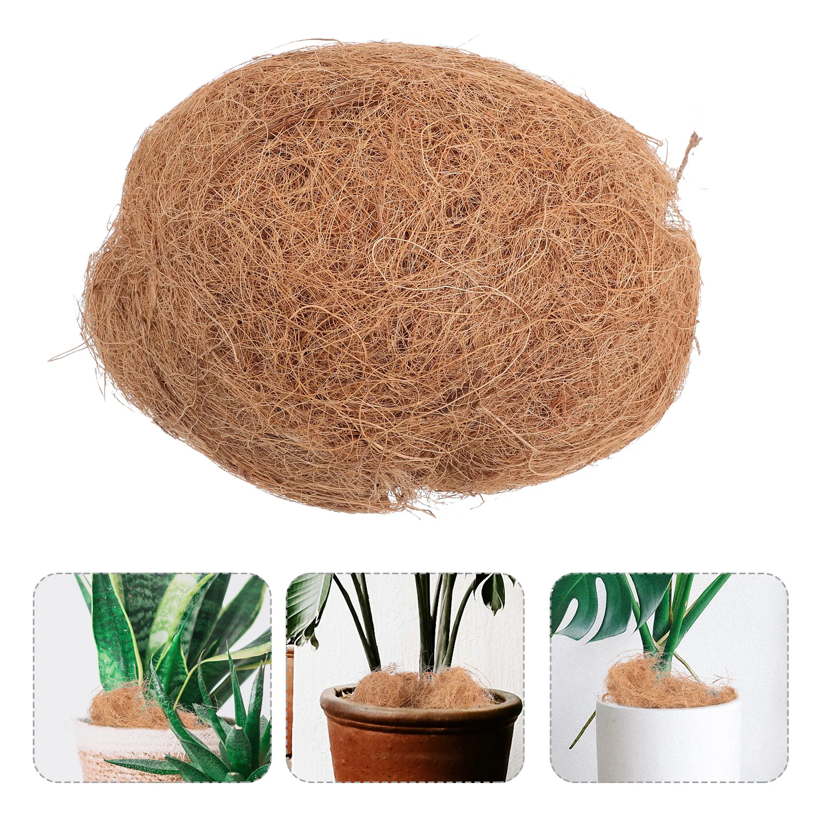 100G Coconut Coir For Planting Vegetables Indoor Bonsai Garden Potting Mix Lightweight Shredded Soil Moisture Retention
100G Coconut Coir For Planting Vegetables Indoor Bonsai Garden Potting Mix Lightweight Shredded Soil Moisture Retention