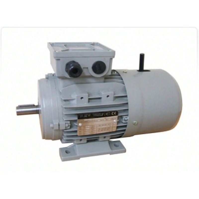 Brake Motor Electromagnetic Brake Hold Brake Motor
Brake Motor Electromagnetic Brake Hold Brake Motor
