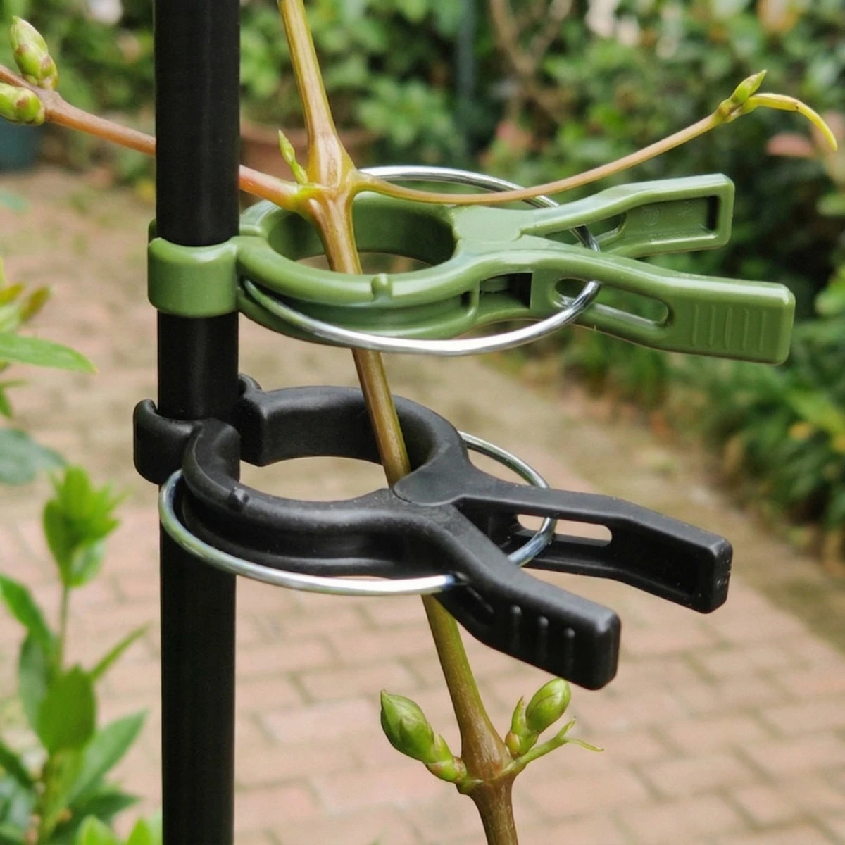 20pcs Reinforced Tomato Clips for Indoor & Outdoor Climbing Plants, Durable Plant Support Trellis Clips, Sturdy Plastic Vine Fas
20pcs Reinforced Tomato Clips for Indoor & Outdoor Climbing Plants, Durable Plant Support Trellis Clips, Sturdy Plastic Vine Fas