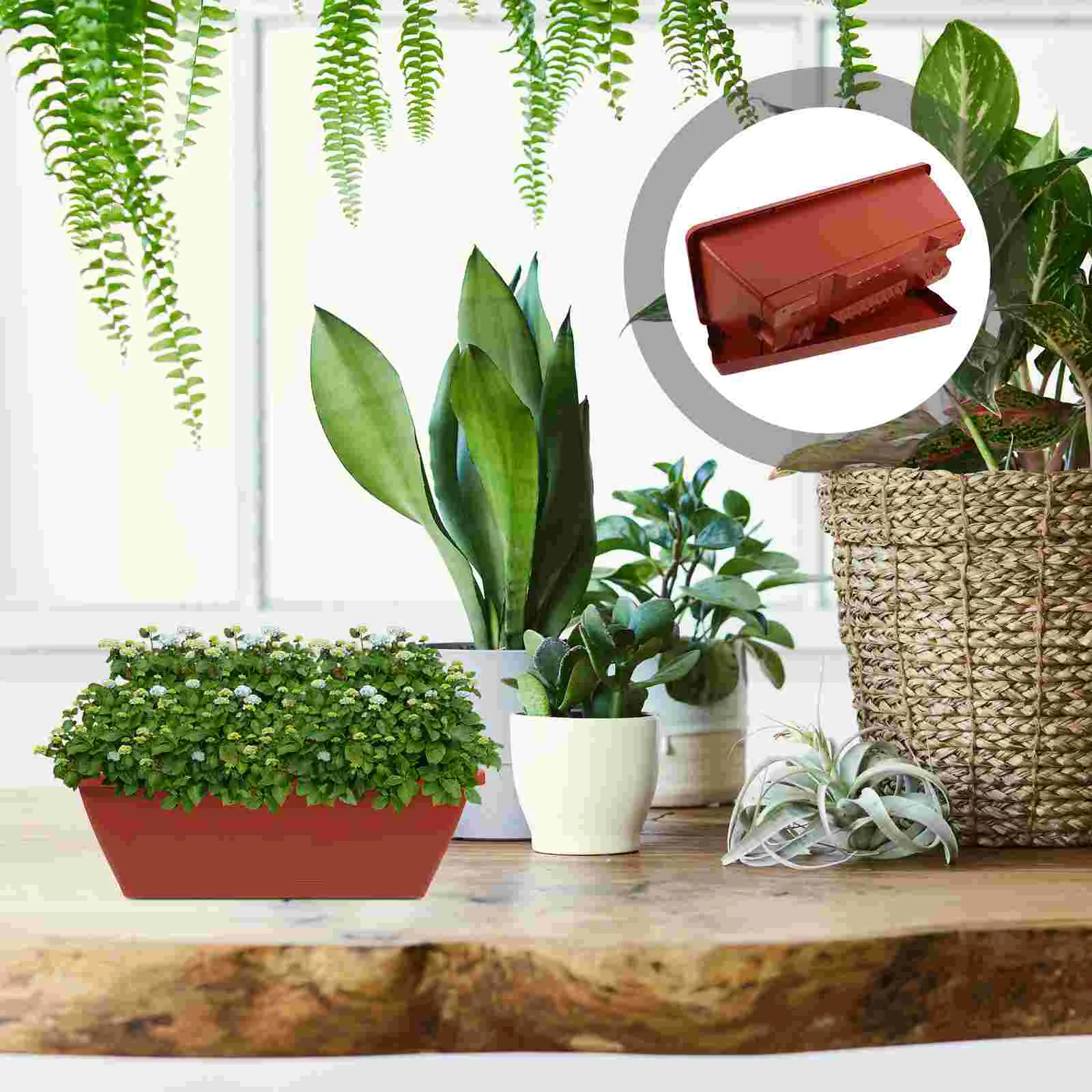 6 Pcs Outdoor Planter Office Succulent Planters Planting Pots Plastic Raised Garden Bed Indoor Flower
6 Pcs Outdoor Planter Office Succulent Planters Planting Pots Plastic Raised Garden Bed Indoor Flower