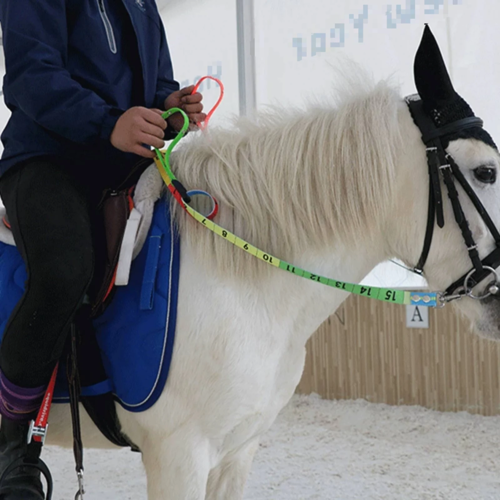 Numbered Equine Reins Beginner Friendly Adjustable Horse Reins for Beginners
Numbered Equine Reins Beginner Friendly Adjustable Horse Reins for Beginners