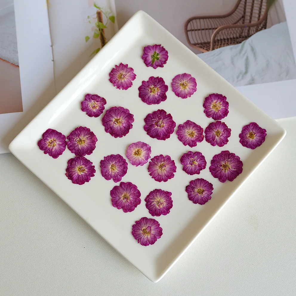 100Pcs Rose Flowers, Pressed Dried Flowers, Small Rose Pressed Flowers, Handmade Real Flower Plant Specimens, DIY Handmade Bookmarks, Resin Crafts
100Pcs Rose Flowers, Pressed Dried Flowers, Small Rose Pressed Flowers, Handmade Real Flower Plant Specimens, DIY Handmade Bookmarks, Resin Crafts