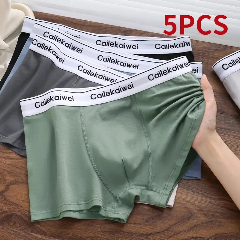 5Pcs/Lot Men's Underwear Pure Cotton Shorts Sexy Boxer Solid Color Comfortable Soft Breathable U-convex Pocket Boxer Shorts Men
5Pcs/Lot Men's Underwear Pure Cotton Shorts Sexy Boxer Solid Color Comfortable Soft Breathable U-convex Pocket Boxer Shorts Men