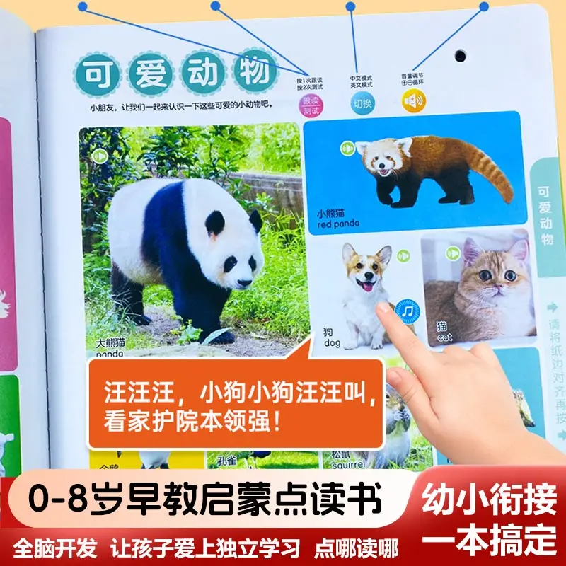 Learning Chinese Character Audiobooks, Literacy, Pinyin & Language Enlightenment, Early Childhood Cognitive Education
Learning Chinese Character Audiobooks, Literacy, Pinyin & Language Enlightenment, Early Childhood Cognitive Education