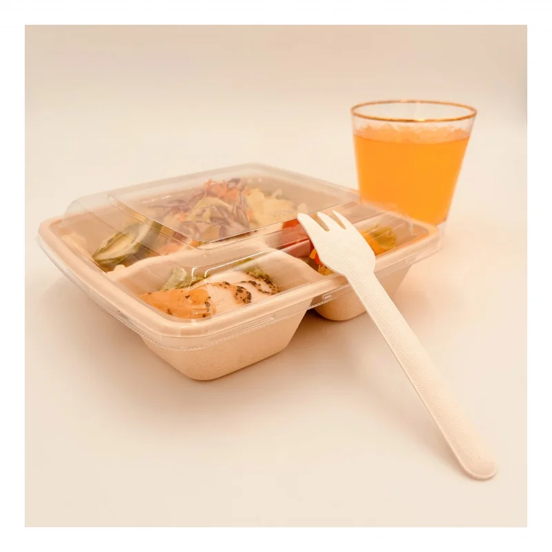 Customized productMicrowave Safe Customized Food Packaging BPA-Pulp Box For Japanese Food With Lid
Customized productMicrowave Safe Customized Food Packaging BPA-Pulp Box For Japanese Food With Lid