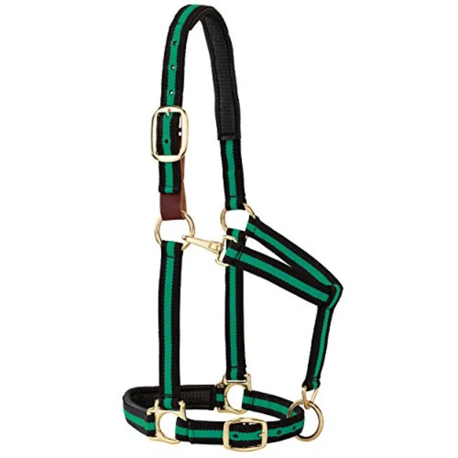 Breakaway Horse Halter, Comfort Foam Padding, Adjustable Chin and Throat Snap Halters for Horses, Equine Tack, Average Size, Gr
Breakaway Horse Halter, Comfort Foam Padding, Adjustable Chin and Throat Snap Halters for Horses, Equine Tack, Average Size, Gr