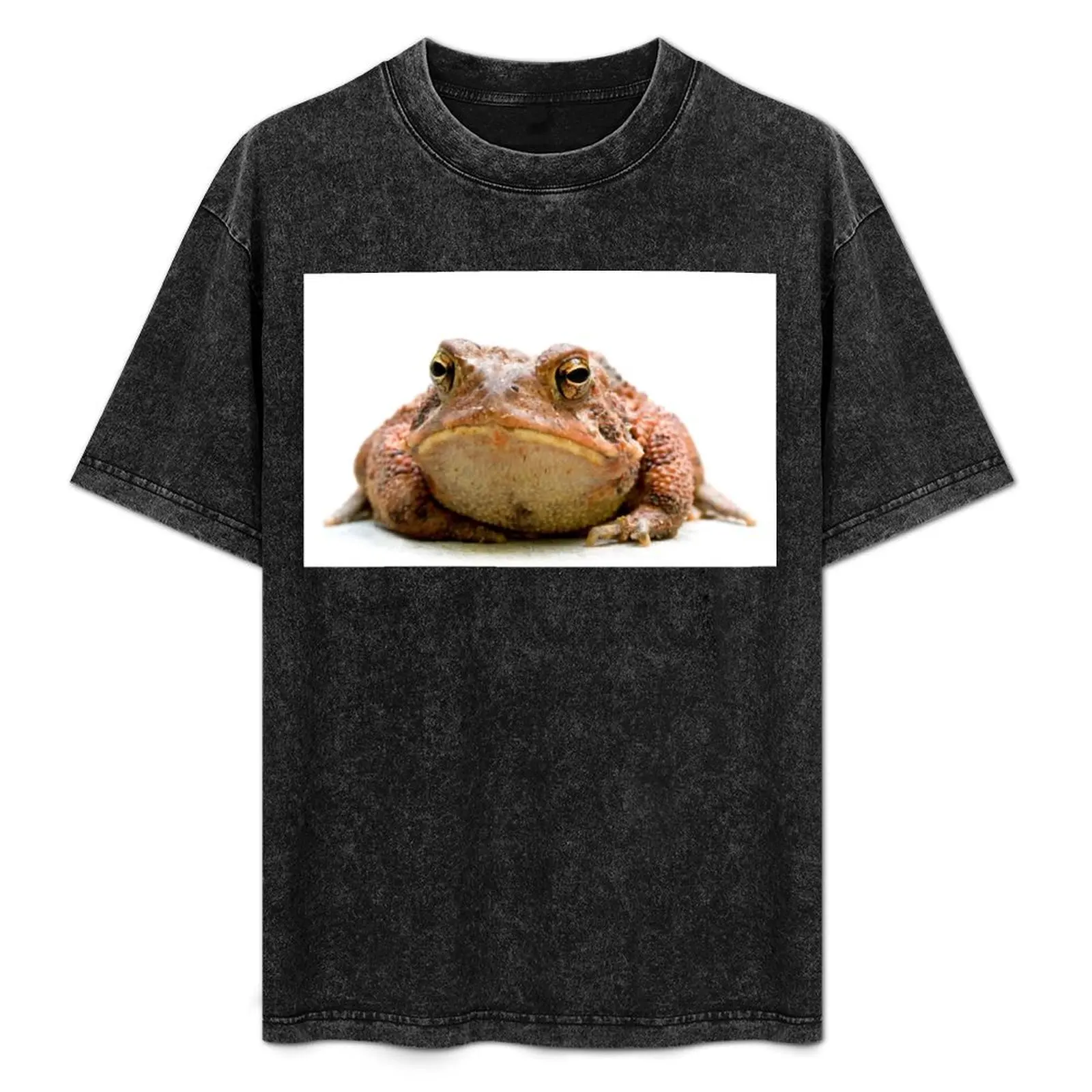 Grumpy Toad. T-Shirt Sports Basic Short Sleeve T-Shirt
Grumpy Toad. T-Shirt Sports Basic Short Sleeve T-Shirt