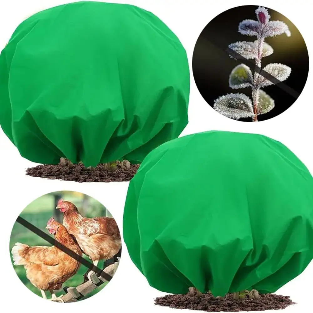 Reusable Plant Covers Round Shape Drawstring Closure Tree Freeze Protection Winter Protection Non-woven Plant Antifreeze Bag
Reusable Plant Covers Round Shape Drawstring Closure Tree Freeze Protection Winter Protection Non-woven Plant Antifreeze Bag