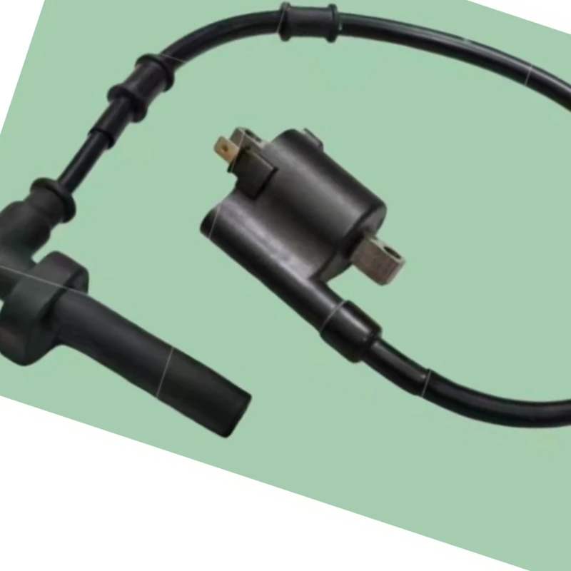 Подходит для высоковольтной катушки зажигания QJ250T-23E Qianjiang ADV Hong 250.
Подходит для высоковольтной катушки зажигания QJ250T-23E Qianjiang ADV Hong 250.