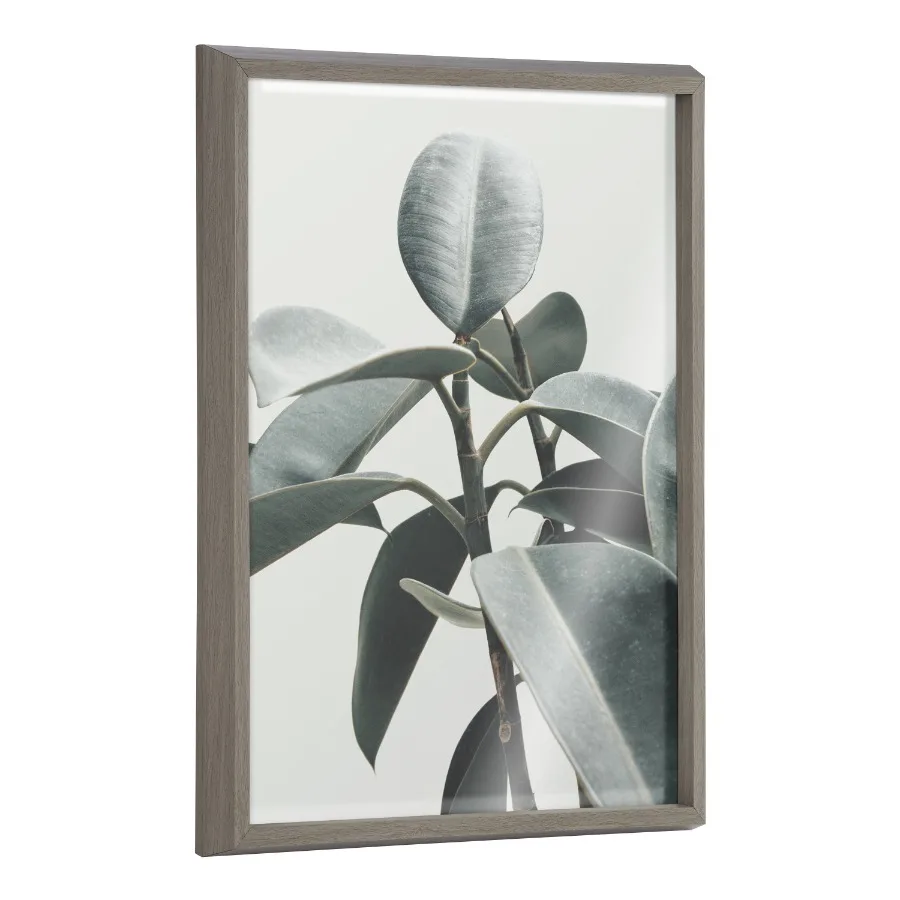 Blake Plant Mom Green Houseplant Framed Printed Glass Wall Art by The Creative Bunch Studio 18x24 Gray Decorative Botanical Art
Blake Plant Mom Green Houseplant Framed Printed Glass Wall Art by The Creative Bunch Studio 18x24 Gray Decorative Botanical Art