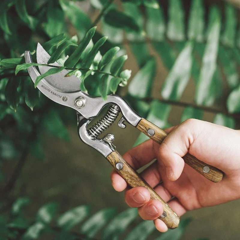 Manchus Pruning Scissors Multifunctional Gardening Fruit Tree Pruning Scissors Sharp and Durable Professional Garden Tools
Manchus Pruning Scissors Multifunctional Gardening Fruit Tree Pruning Scissors Sharp and Durable Professional Garden Tools
