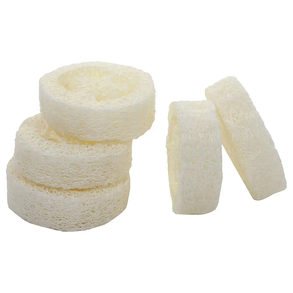 5 Pcs Loofah Shower Brush Bath Sponge 5-7cm Diameter 1cm Thick Natural Silk Gourd Bath Tool Soap Holder Pad Storage Box
5 Pcs Loofah Shower Brush Bath Sponge 5-7cm Diameter 1cm Thick Natural Silk Gourd Bath Tool Soap Holder Pad Storage Box