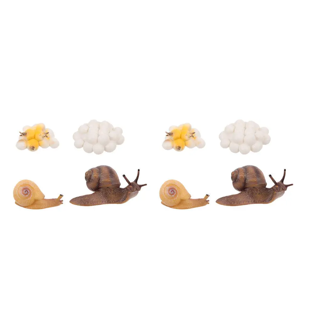 2Sets Snail Growth Cycle Decor Creative Educational Ornament Kids Cycle Statue Home Garden Decoration
2Sets Snail Growth Cycle Decor Creative Educational Ornament Kids Cycle Statue Home Garden Decoration