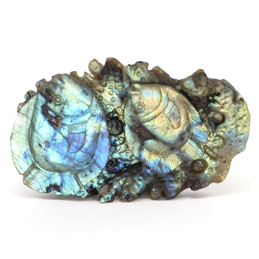 4.2" Fish Natural Flash Labradorite Reiki Healing Crystal Gemstone Hand Carved Animal Figurine for Home Room Decoration Gift #28
4.2" Fish Natural Flash Labradorite Reiki Healing Crystal Gemstone Hand Carved Animal Figurine for Home Room Decoration Gift #28