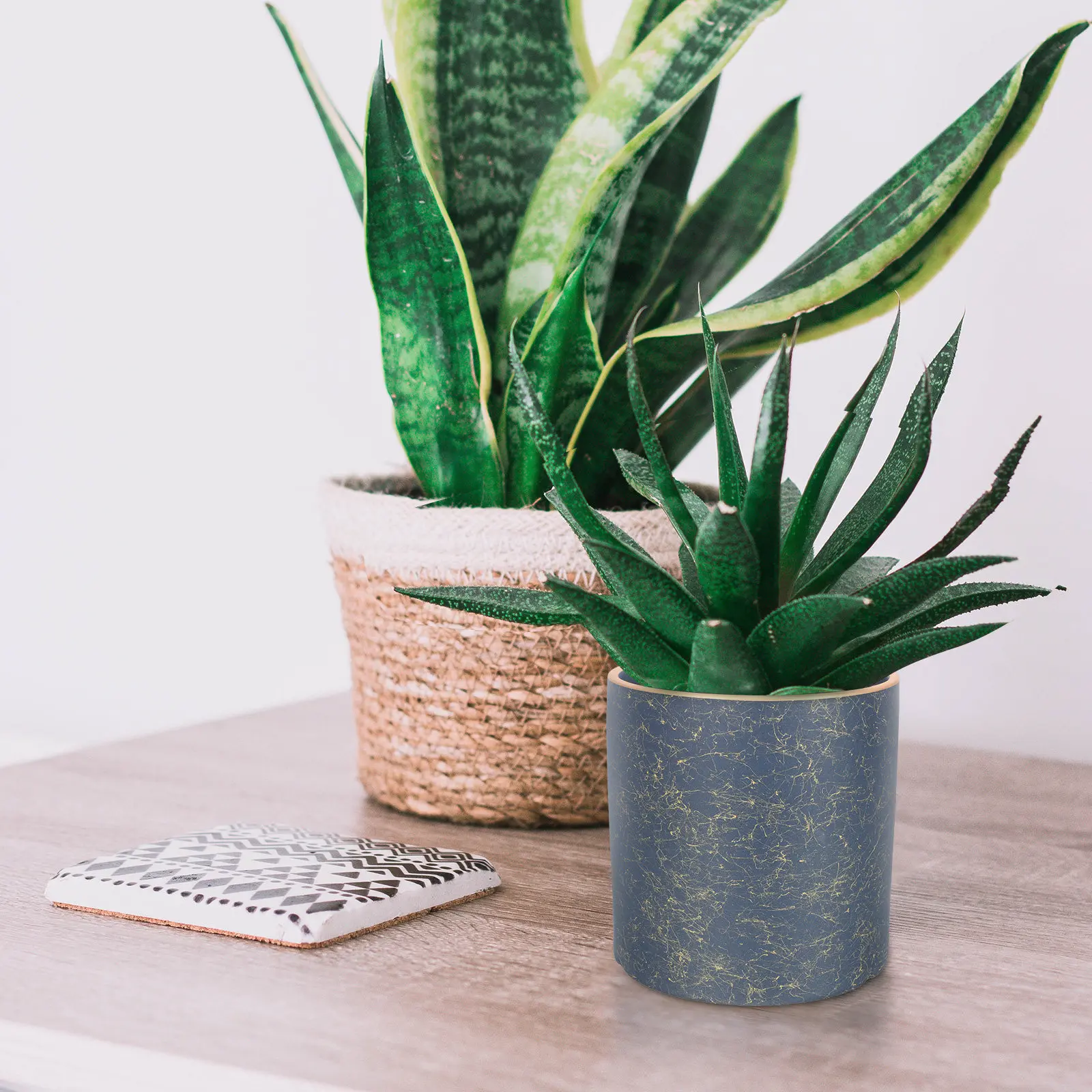 Ceramic Flowerpot Nordic Design Exquisite Workmanship Fresh Chic Look for Flowers Succulents Orchids Home Garden Office
Ceramic Flowerpot Nordic Design Exquisite Workmanship Fresh Chic Look for Flowers Succulents Orchids Home Garden Office