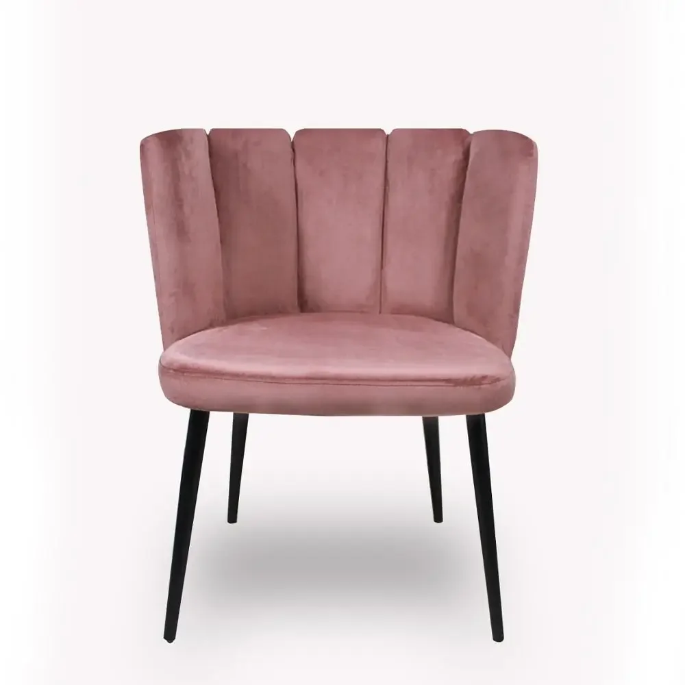 for Modern European High Quality Home Furniture Comfortable Home Restaurant Metal Legs Velvet Dining Chairs
for Modern European High Quality Home Furniture Comfortable Home Restaurant Metal Legs Velvet Dining Chairs