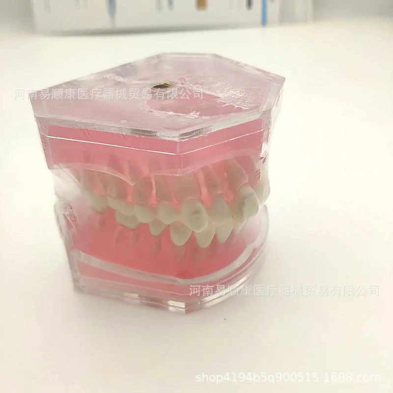 Dentals Materials Standard Soft Holders Extractable Model 1:1 Teaching Dentals Model Oral Dentals Instruments
Dentals Materials Standard Soft Holders Extractable Model 1:1 Teaching Dentals Model Oral Dentals Instruments