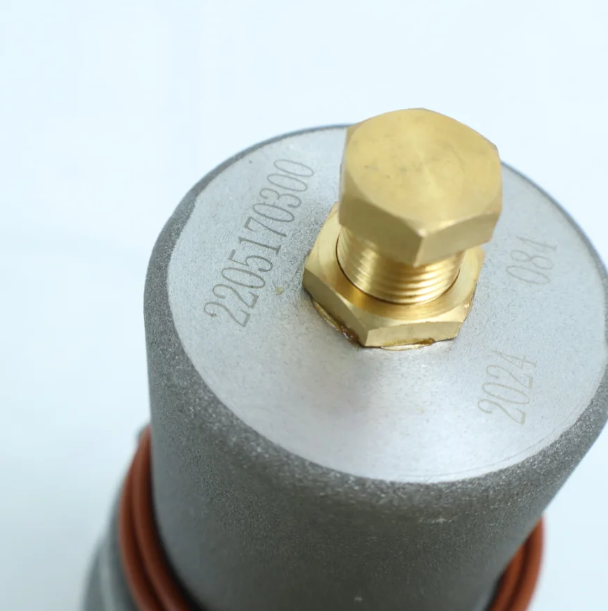 2205170301 2205170300 Minimum Pressure Valve Industrial Air Compressor Parts
2205170301 2205170300 Minimum Pressure Valve Industrial Air Compressor Parts
