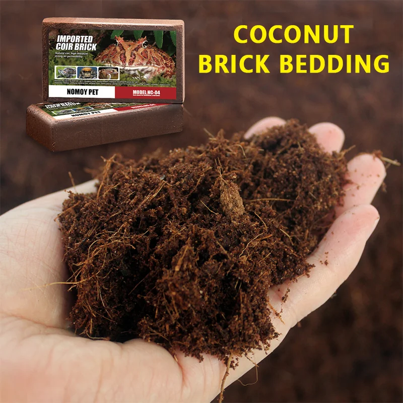 Lizard Tortoise Reptile Bedding Soil Reptile Terrarium Bottom Supplies 600g Reptile Coconut Soil Natural Coconut Fiber Substrate
Lizard Tortoise Reptile Bedding Soil Reptile Terrarium Bottom Supplies 600g Reptile Coconut Soil Natural Coconut Fiber Substrate