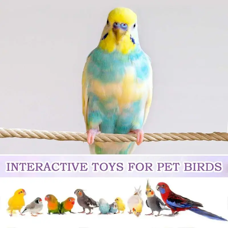 Bird Rope Perch Climbing Rope Accessory Bird Perch Stand Cage Climbing Accessories For Cockatiels Lovebird Parakeet Sugar
Bird Rope Perch Climbing Rope Accessory Bird Perch Stand Cage Climbing Accessories For Cockatiels Lovebird Parakeet Sugar