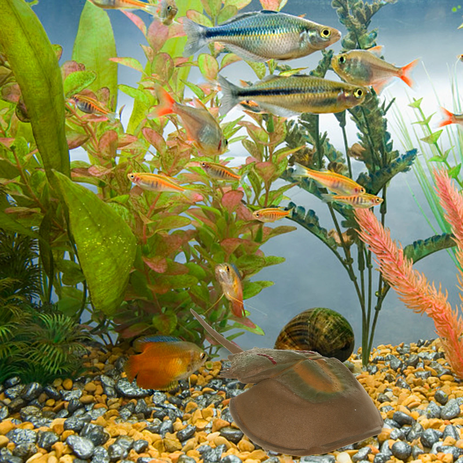 Simulation Artificial Fighter Fish Tank Decor Aquarium Landscaping Hideout Craft naments Realistic Details Plastic
Simulation Artificial Fighter Fish Tank Decor Aquarium Landscaping Hideout Craft naments Realistic Details Plastic