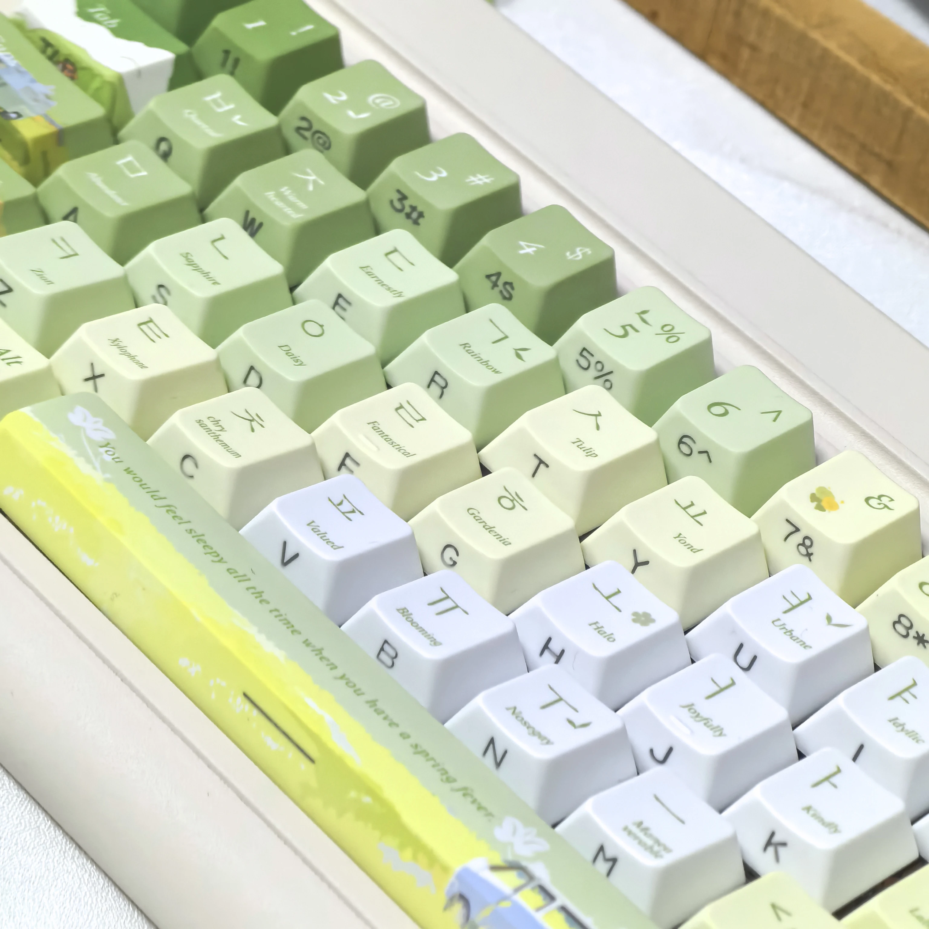 Korean Keycaps Spring Cherry Pbt Side Engraved Translucent Ansi/Iso Layout Green Gradient Customized Hangul Keycap 한국어 키캡
Korean Keycaps Spring Cherry Pbt Side Engraved Translucent Ansi/Iso Layout Green Gradient Customized Hangul Keycap 한국어 키캡
