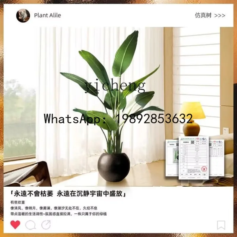FZ Floor Ornament Next to Fake Plant Traveler Banana Bird of Paradise Artificial Green Plant
FZ Floor Ornament Next to Fake Plant Traveler Banana Bird of Paradise Artificial Green Plant