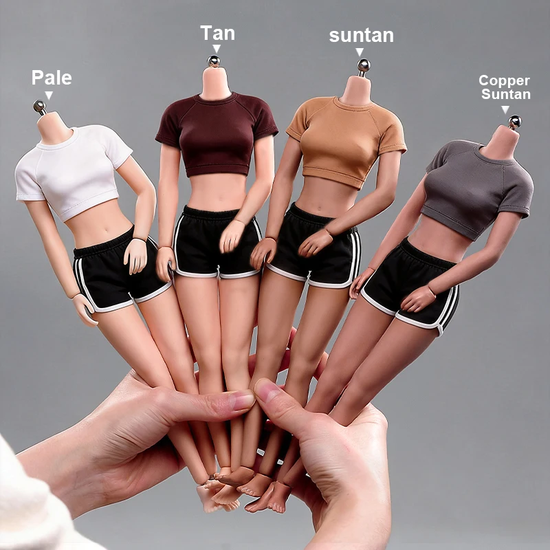 AB001 1/6 Scale Female Flexible Seamless Body Stainless Stell Skeleton 12'' Pale/Suntan/Normal Skin Action Figure Model Dolls
AB001 1/6 Scale Female Flexible Seamless Body Stainless Stell Skeleton 12'' Pale/Suntan/Normal Skin Action Figure Model Dolls