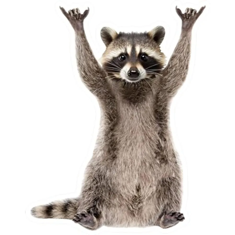 Rockstar Racoon Raccoon Sticker, Funny Raccoon Cute Car Decal, 5 Inch - Yeti Cup Vinyl Cooling Box, Waterproof Sticker, Decal C
Rockstar Racoon Raccoon Sticker, Funny Raccoon Cute Car Decal, 5 Inch - Yeti Cup Vinyl Cooling Box, Waterproof Sticker, Decal C
