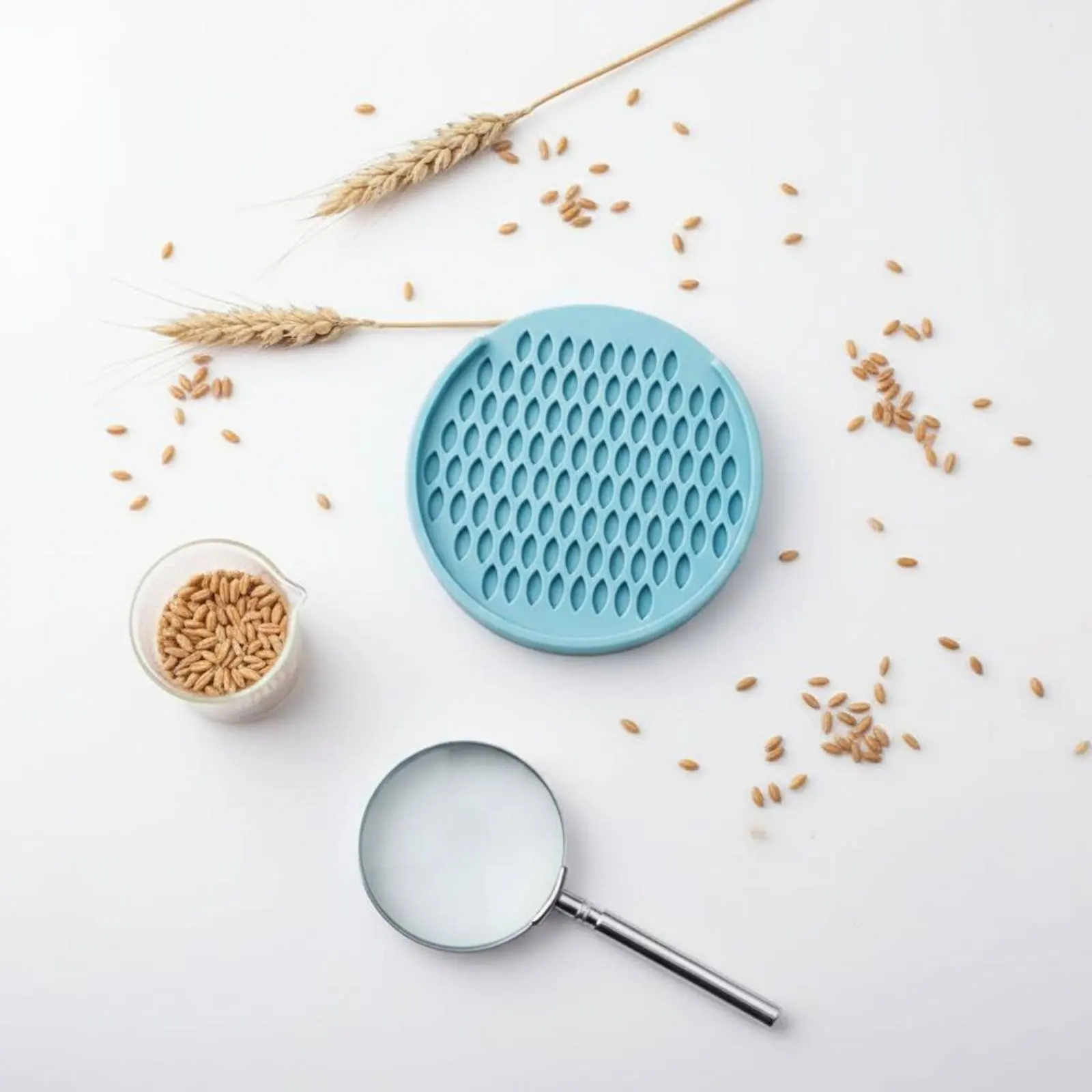 Manual Grain Grinder Non Rice Husk Remover Seed Counting Tray Odorless
Manual Grain Grinder Non Rice Husk Remover Seed Counting Tray Odorless