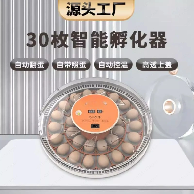Автоматический инкубатор для яиц с функцией переворота | Куриный инкубатор на 30 яиц для домашнего разведения и инкубации
Автоматический инкубатор для яиц с функцией переворота | Куриный инкубатор на 30 яиц для домашнего разведения и инкубации