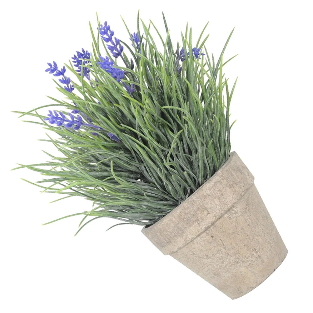 Artificial Lavender Potted Plant Realistic Faux Flowers Indoor Office Decor Blue High Simulation Nature Feeling Eye Relief
Artificial Lavender Potted Plant Realistic Faux Flowers Indoor Office Decor Blue High Simulation Nature Feeling Eye Relief
